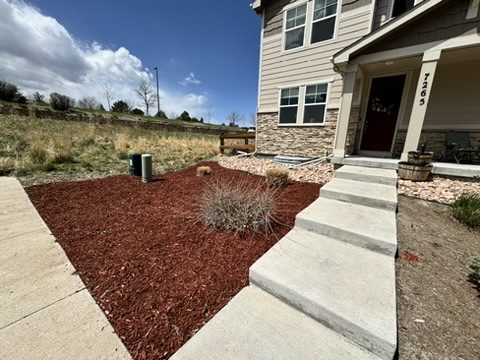 Front-yard mulch bed and concrete steps at a home